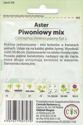 aster_piwoniowy_mix_2_