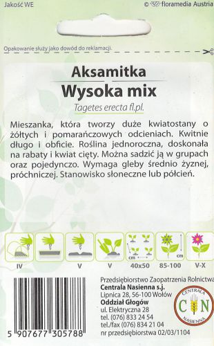 aksamitka_wysoka_2_