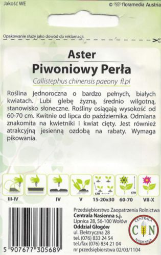 aster_perla_2_