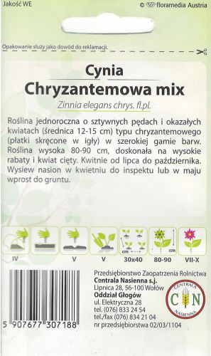 cynia_chryzantemowa_mix_2z2_