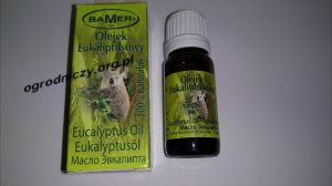 Olejek eukaliptusowy Bamer 100% naturalny