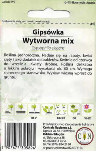 gipsowka_2_0