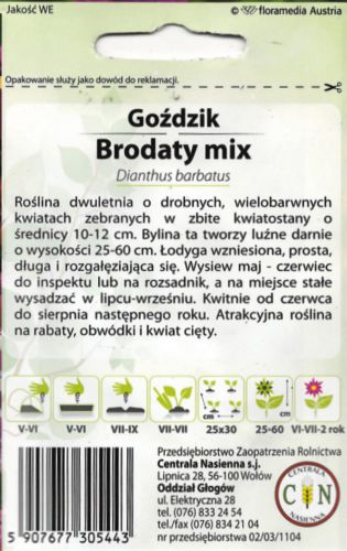 gozdzik_brodaty_2_