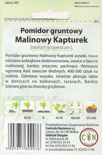 pomidor_malinowy_kapturek_2_