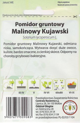pomidor_malinowy_kujawski_2_