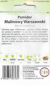 pomidor_malinowy_warszawski_2_ogrodniczy-sklep