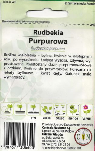 rudbekia_purpurowa_2_