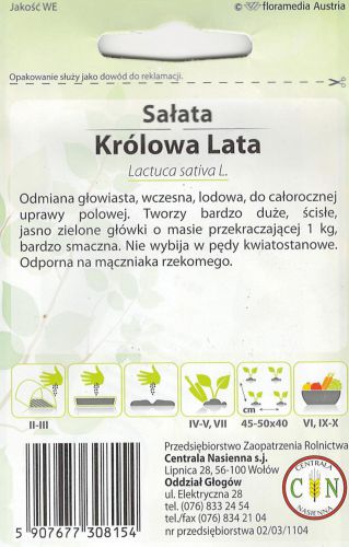 salata_krolowa_lata_2_