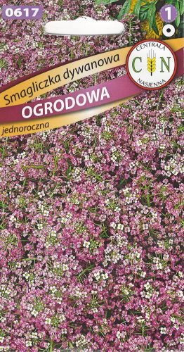 Smagliczka dywanowa ogrodowa fioletowa